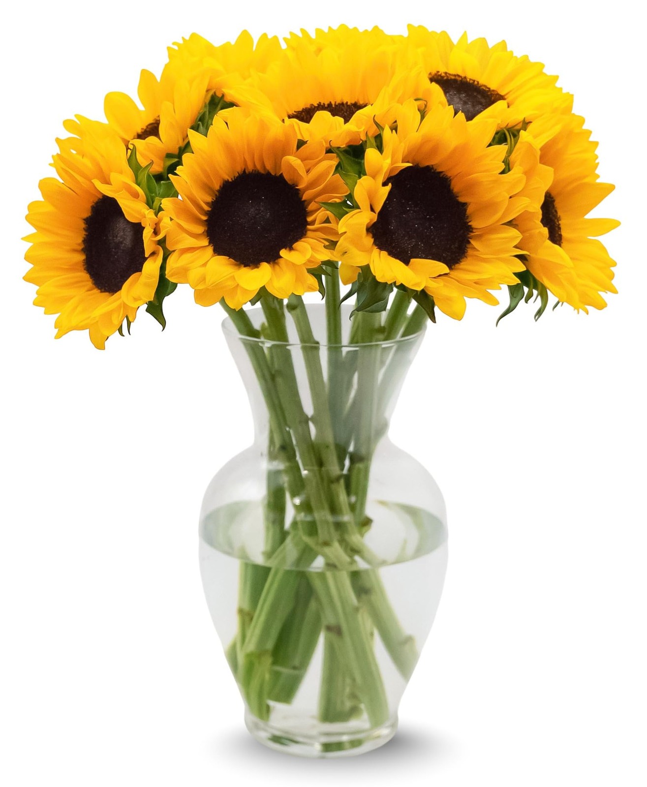 10 Stem Yellow Sunflower Bouquet Fresh Cut Flower Arrangement Home Decor Gift