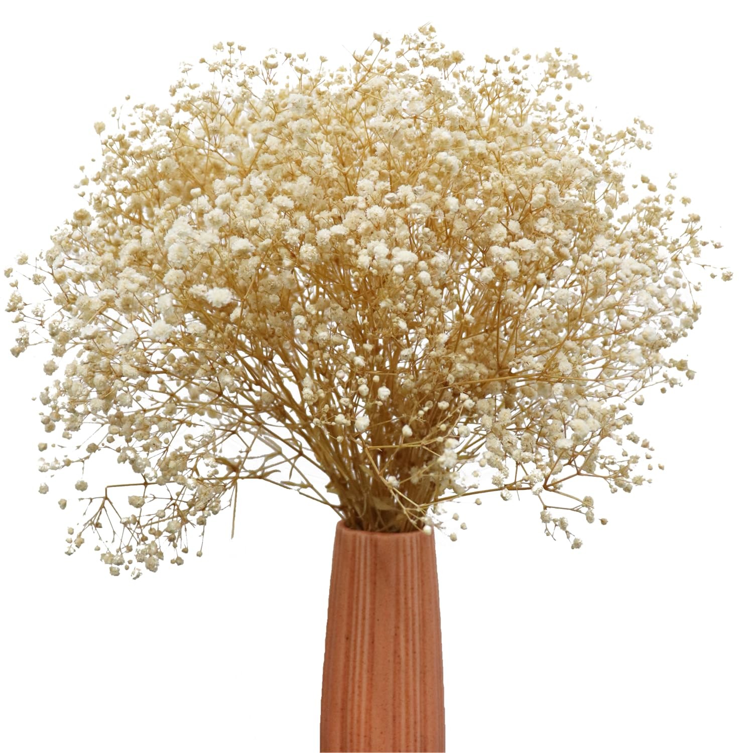 White Dried Babys Breath Flowers Bouquet Natural Gypsophila Home Decor Vase