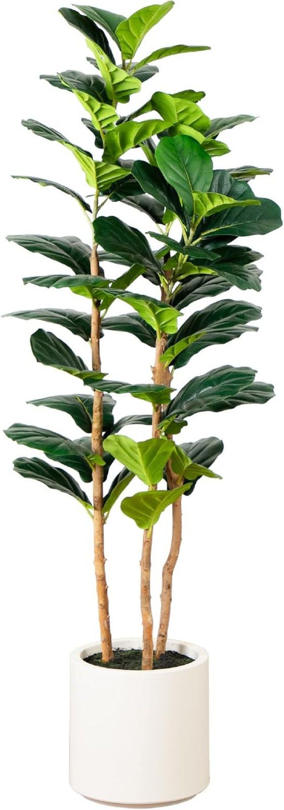 5Ft Artificial Fiddle Leaf Tree in Elegant White Planter –