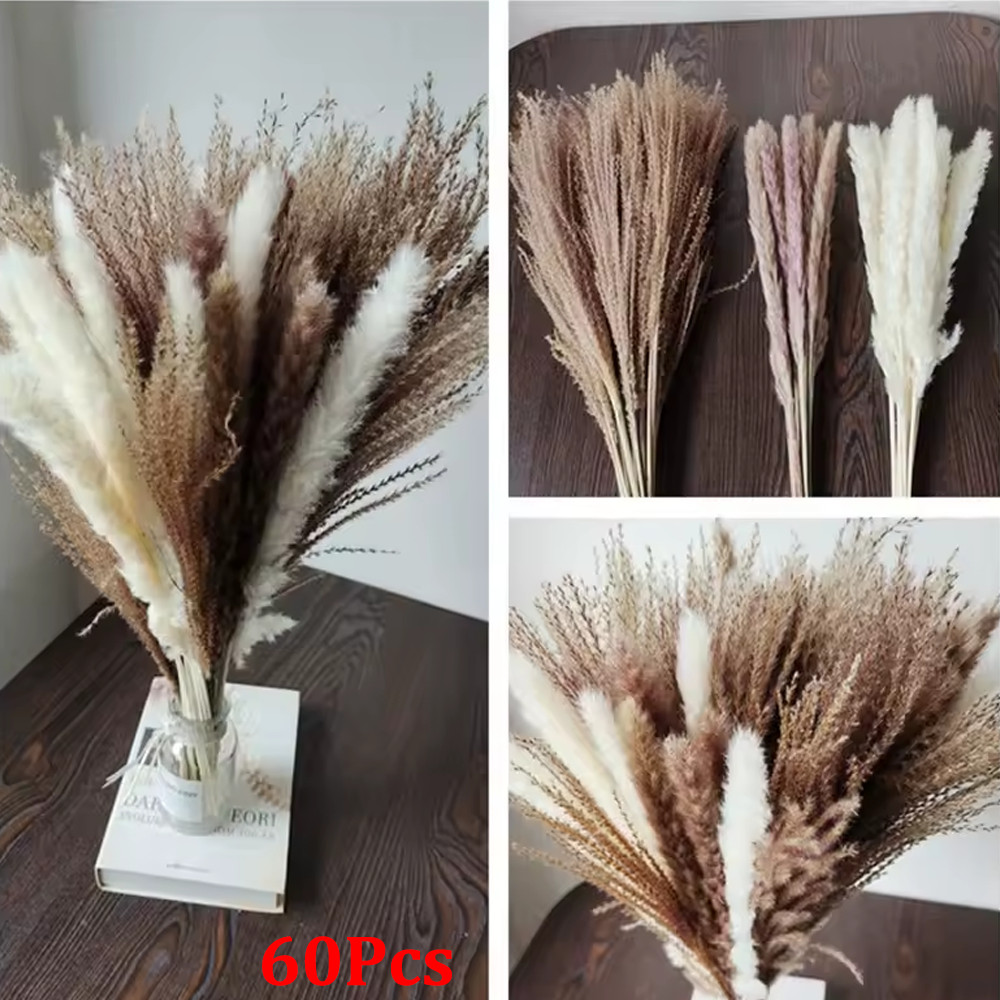 60PCS Pampas Grass Natural Dried Reed Flower Bunch Bouquets Home Wedding Decor