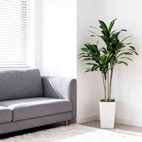 Artificial Dracaena Tree 5FT with White Tall Planter – Faux Tree Dracaena 5ft