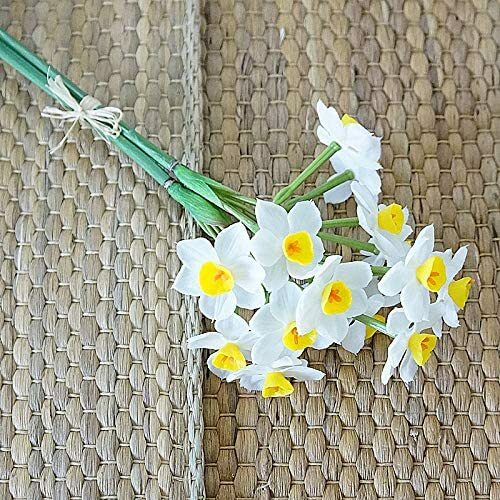2 Bunches Latex Artificial Daffodils Bulbs Flowers Bouquet White