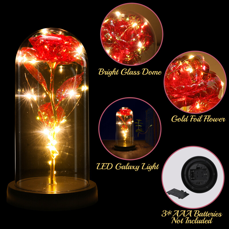 Eternal Forever Romantic Rose Flower In Glass Dome LED Light Mother’s Day Gift