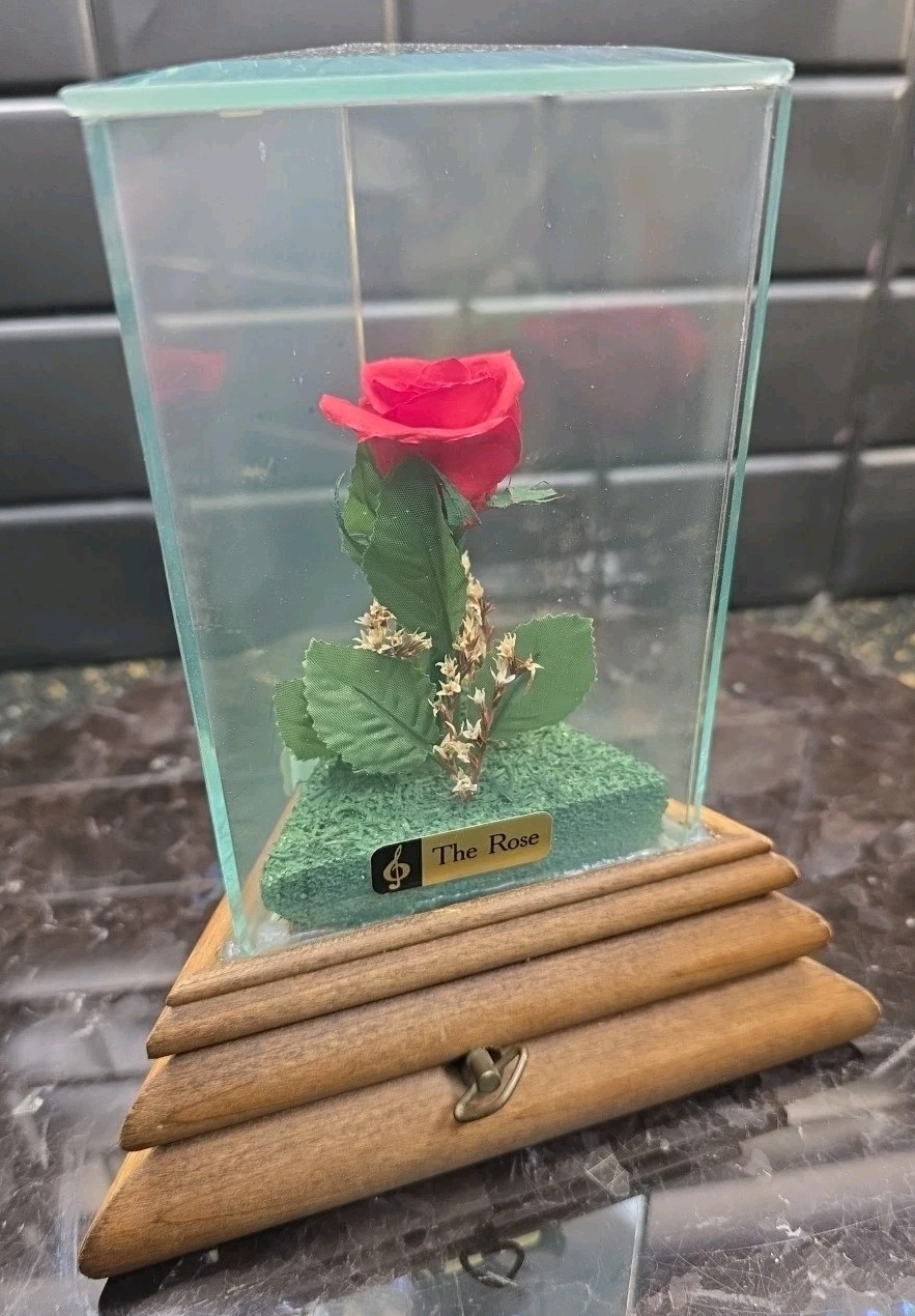 Lifesake Flowers Chesterseal Musical Real Rose Preserved In USA Glass Case