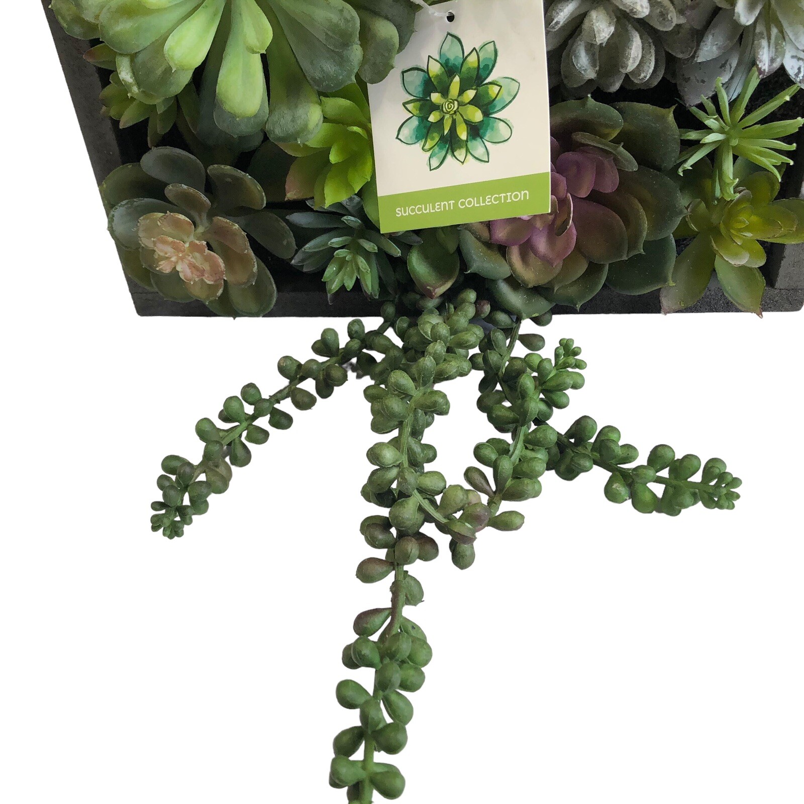 WALL OF FAUX SUCCULENT Cactus in Gray Wood Box Decor Display 12x12x3 inches New
