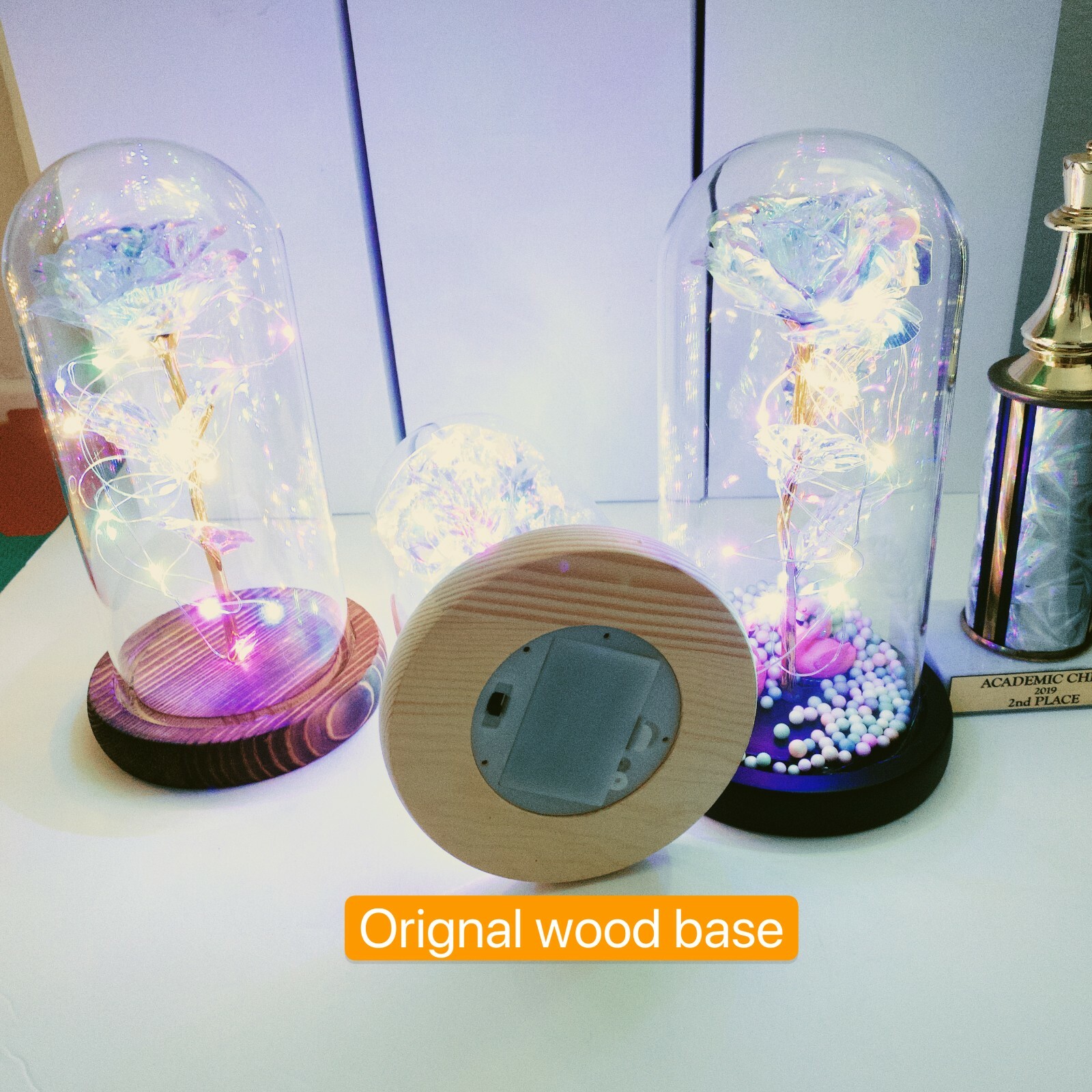 crystal Galaxy rose in the glass dome 20 led lights gift for girlfriend mom wife