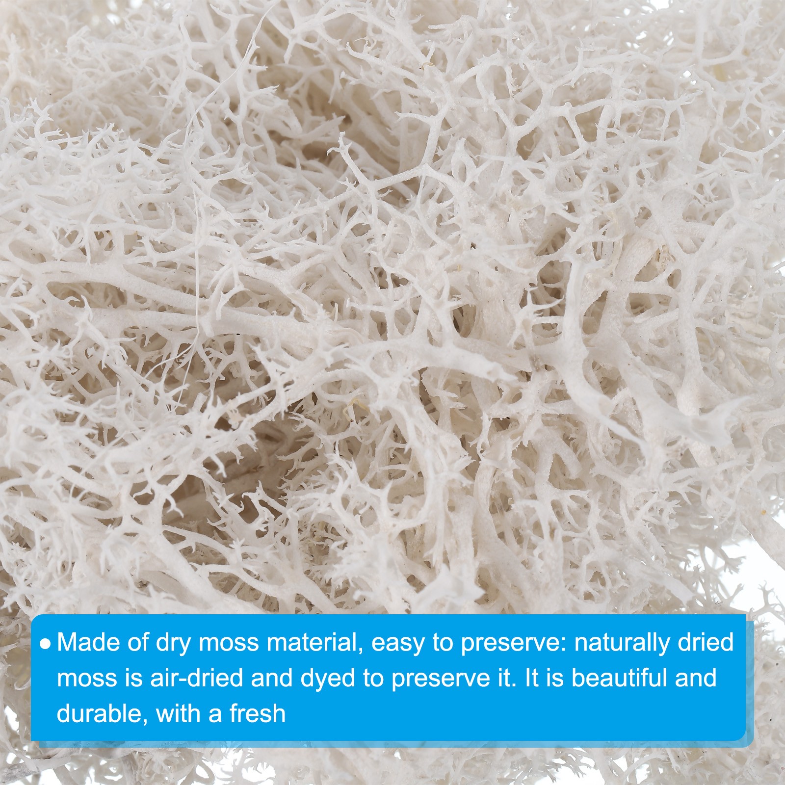 1.8 OZ Fake Moss Preserved Reindeer Moss Artificial Moss Lichen White