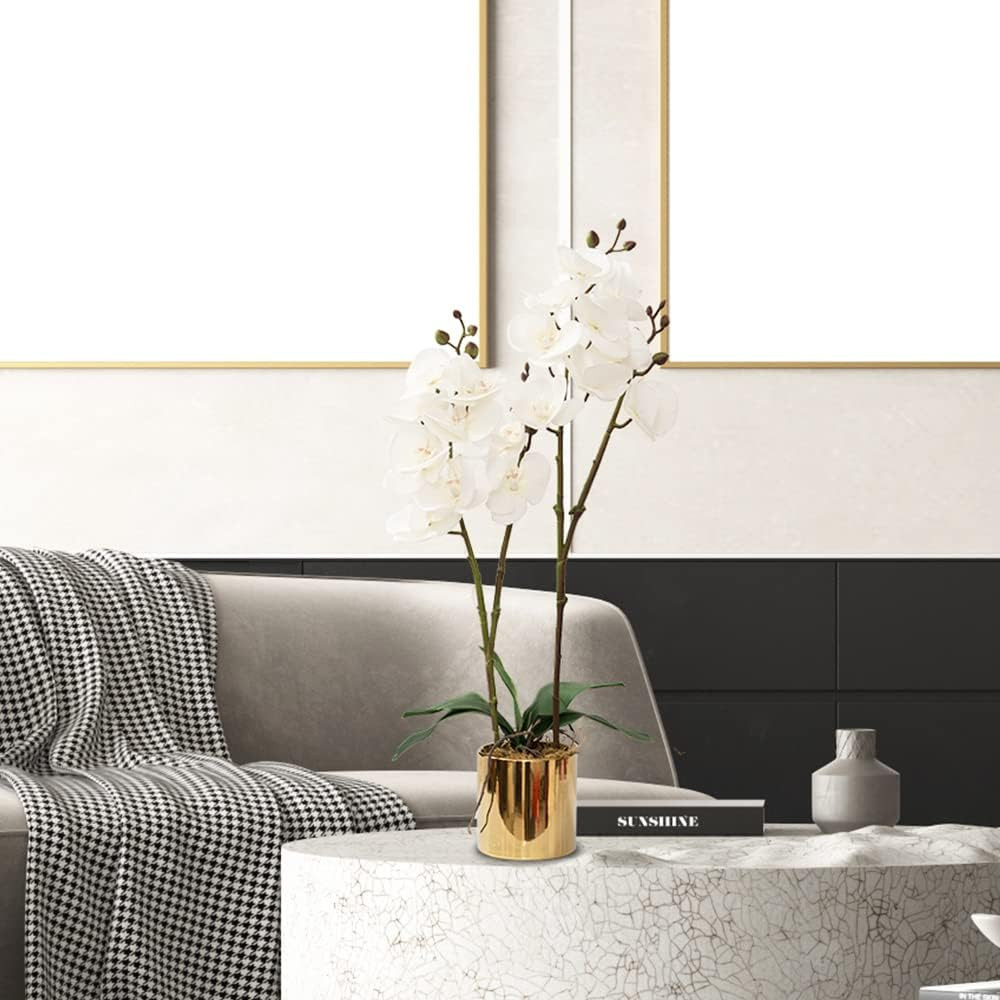 Real Touch White Orchid Arrangement in Ceramic Vase – 19.7” Home Decor