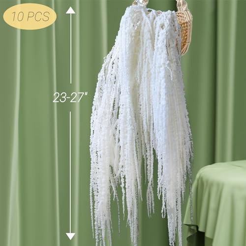 Pcs Natural Dried Wisteria Hanging Flowers – 23″ Bleached White Preserved 10