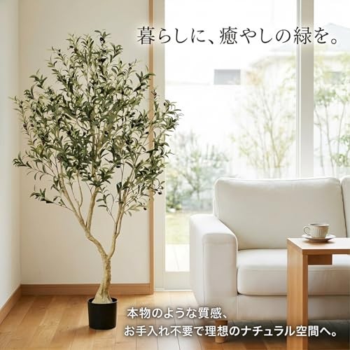Olive Tree – Olive Trees Artificial Indoor with Large Olive Branches and 6ft