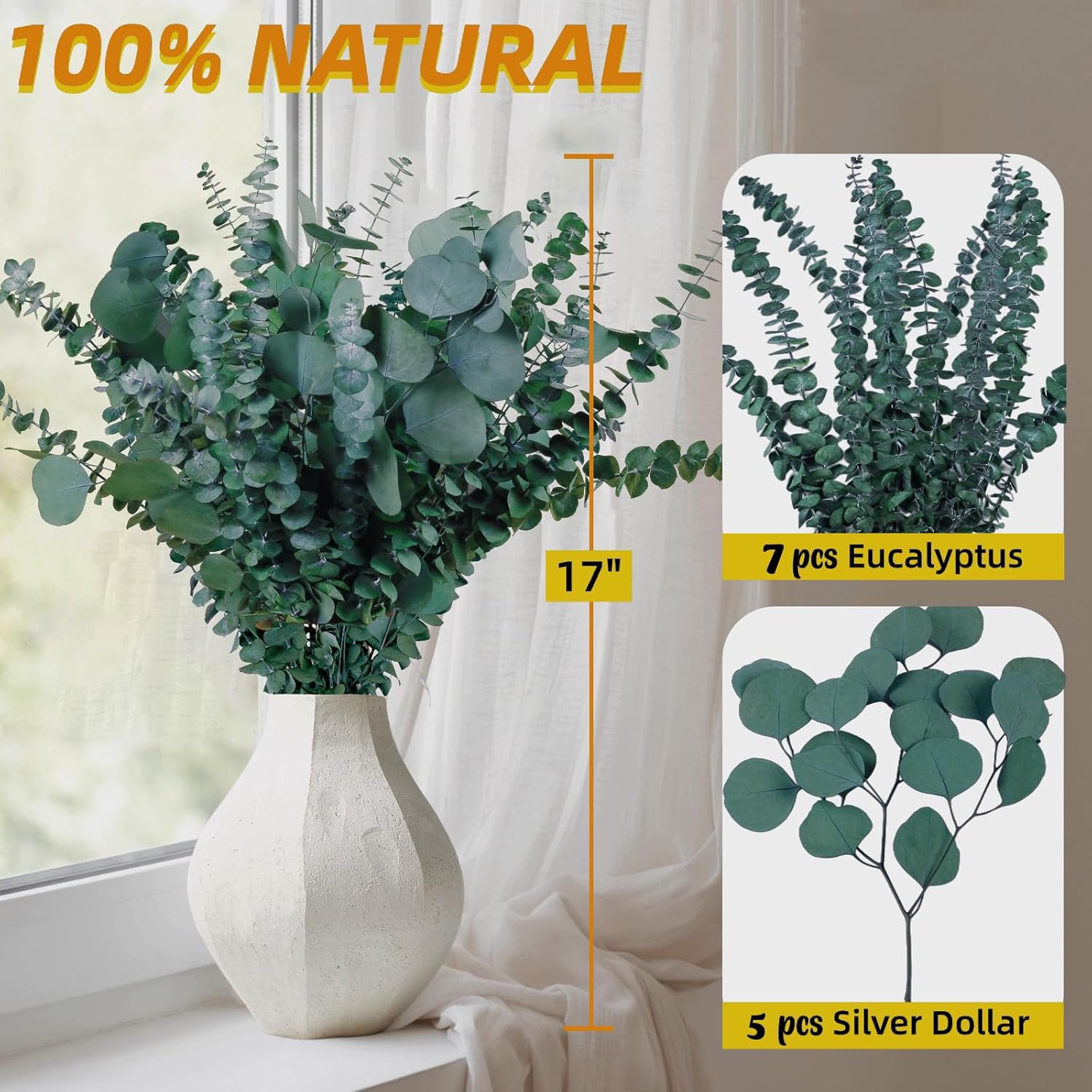 12 Pcs Large Dried Eucalyptus & Silver Dollar Leaves Bundle – Natural Real Fresh