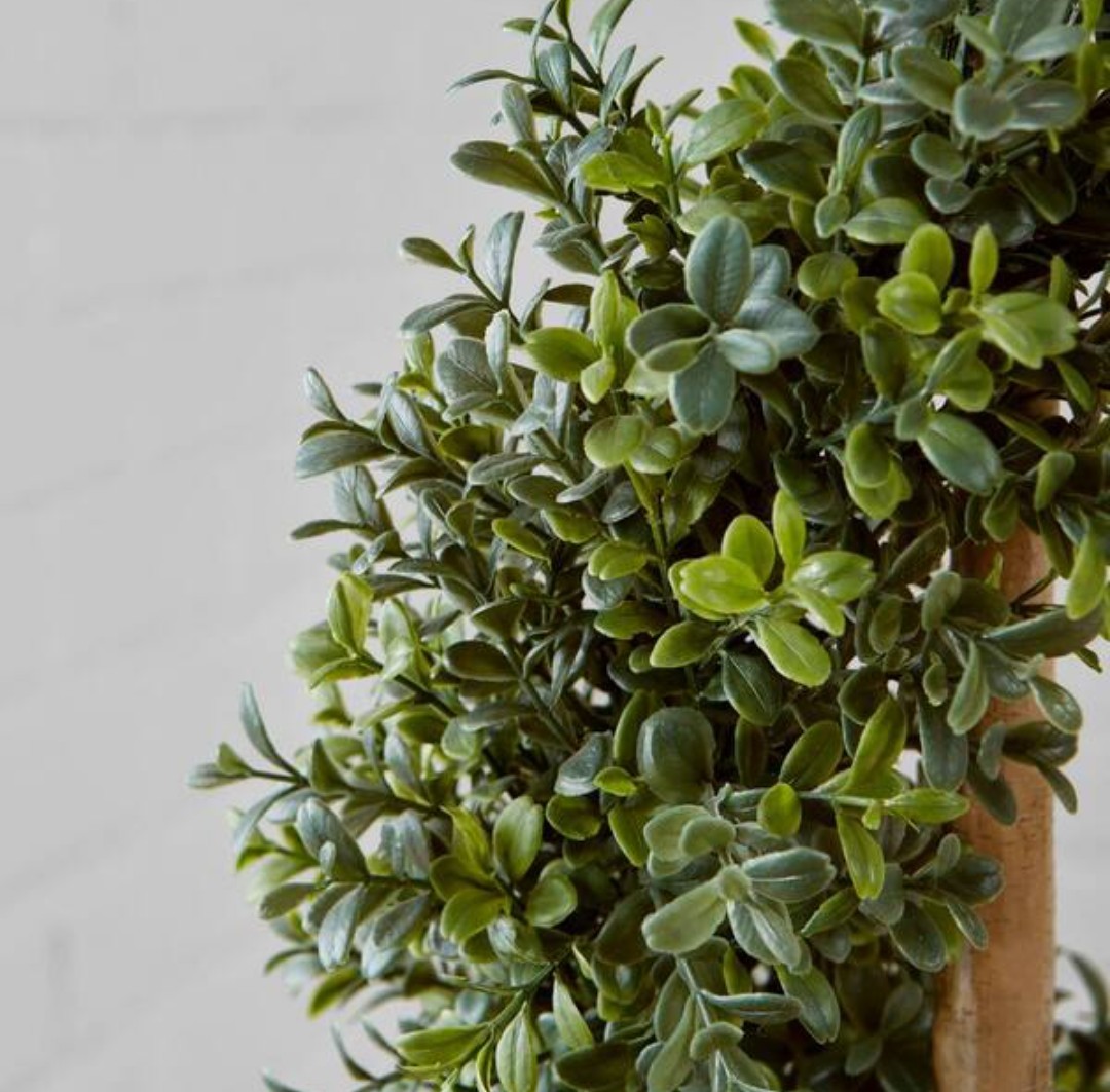 StyleWell 4 Ft. Indoor Artificial Murraya Spiral Tree – Brand New