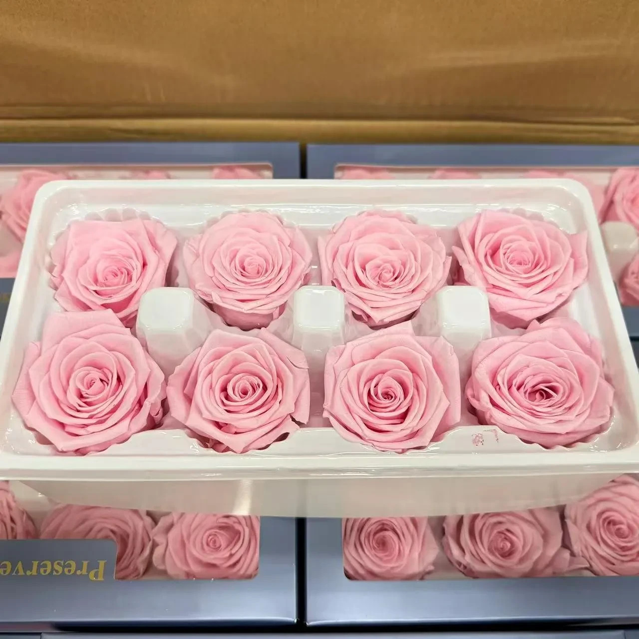 8 Preserved Pink Roses Real Eternal Flowers DIY Crafts Wedding Gift Decor