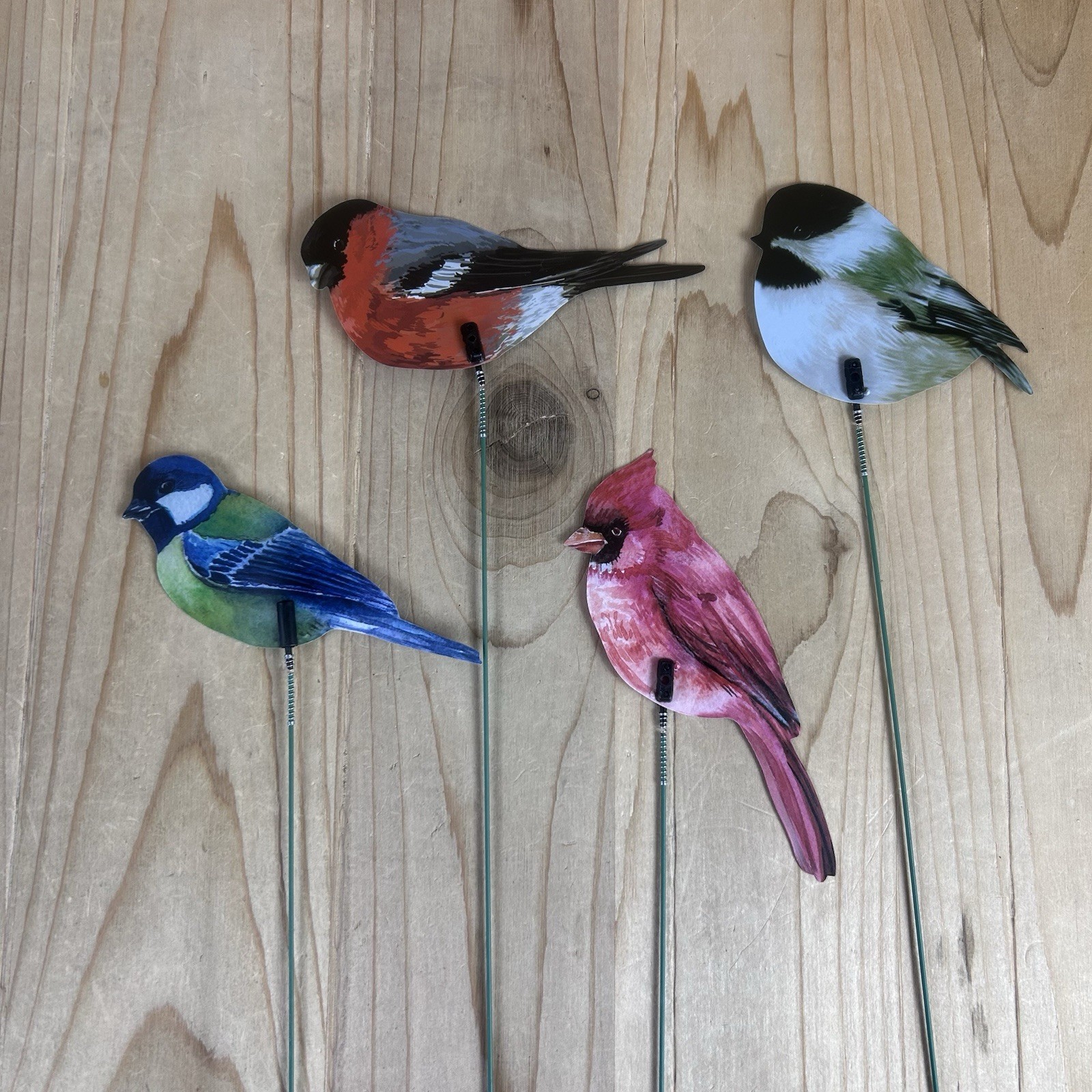 Decorative Bird Plant Sticks Set Of 18 Double Sided Vinyl 13 Inch Pot Stake