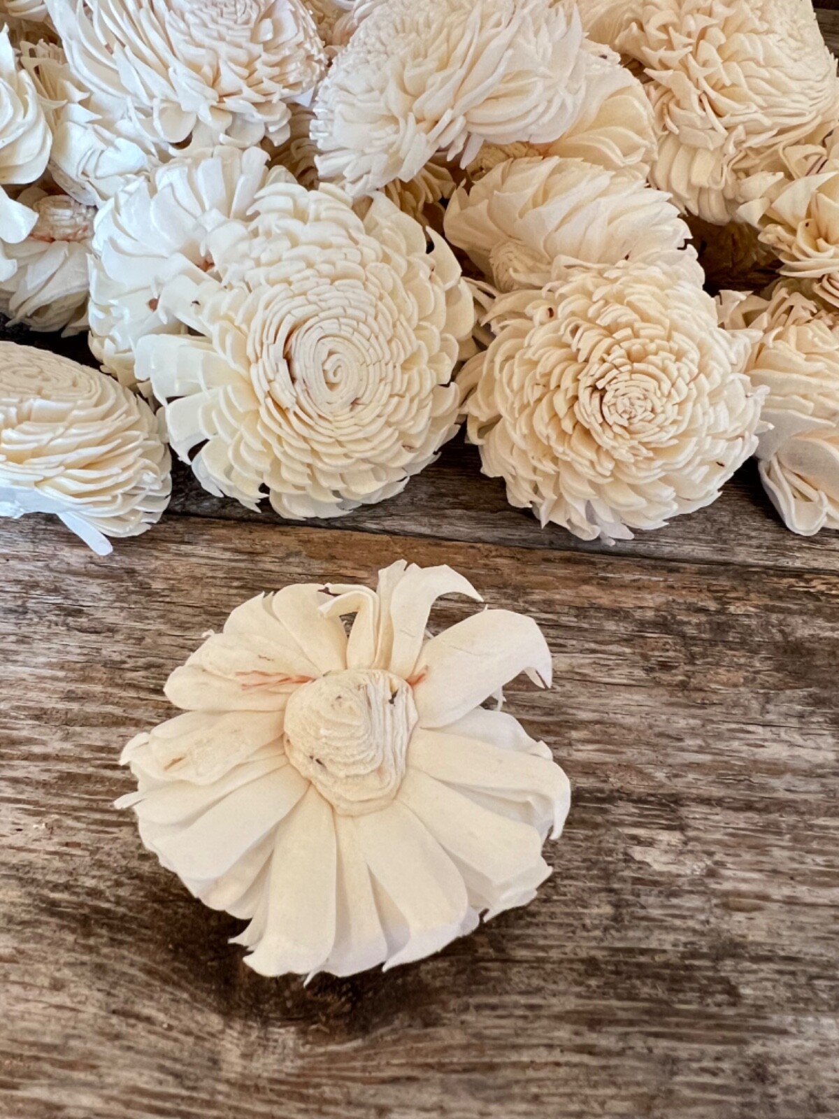 Chorki Belly Sola Wood Flowers – Set of 50 – Craft Flowers