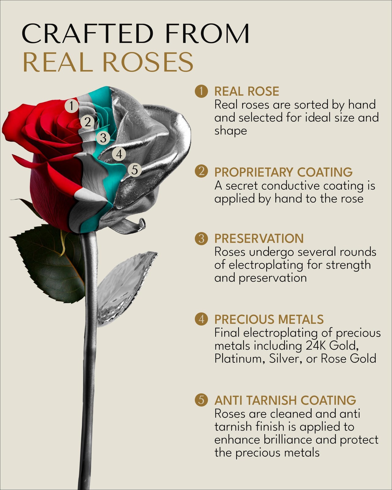 Real Rose Dipped in Silver, Handcrafted Preserved Rose in Luxury Gold Gift Bo…