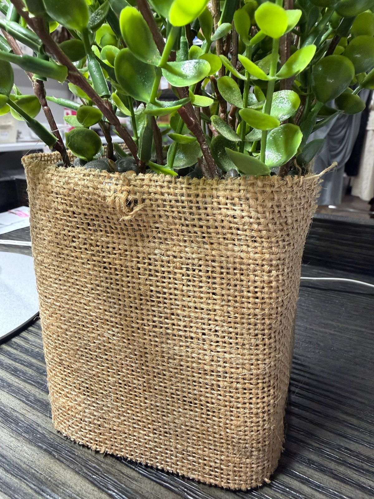 Lot of 3 artificial house plants: pathos, boxwood, and peony EUC
