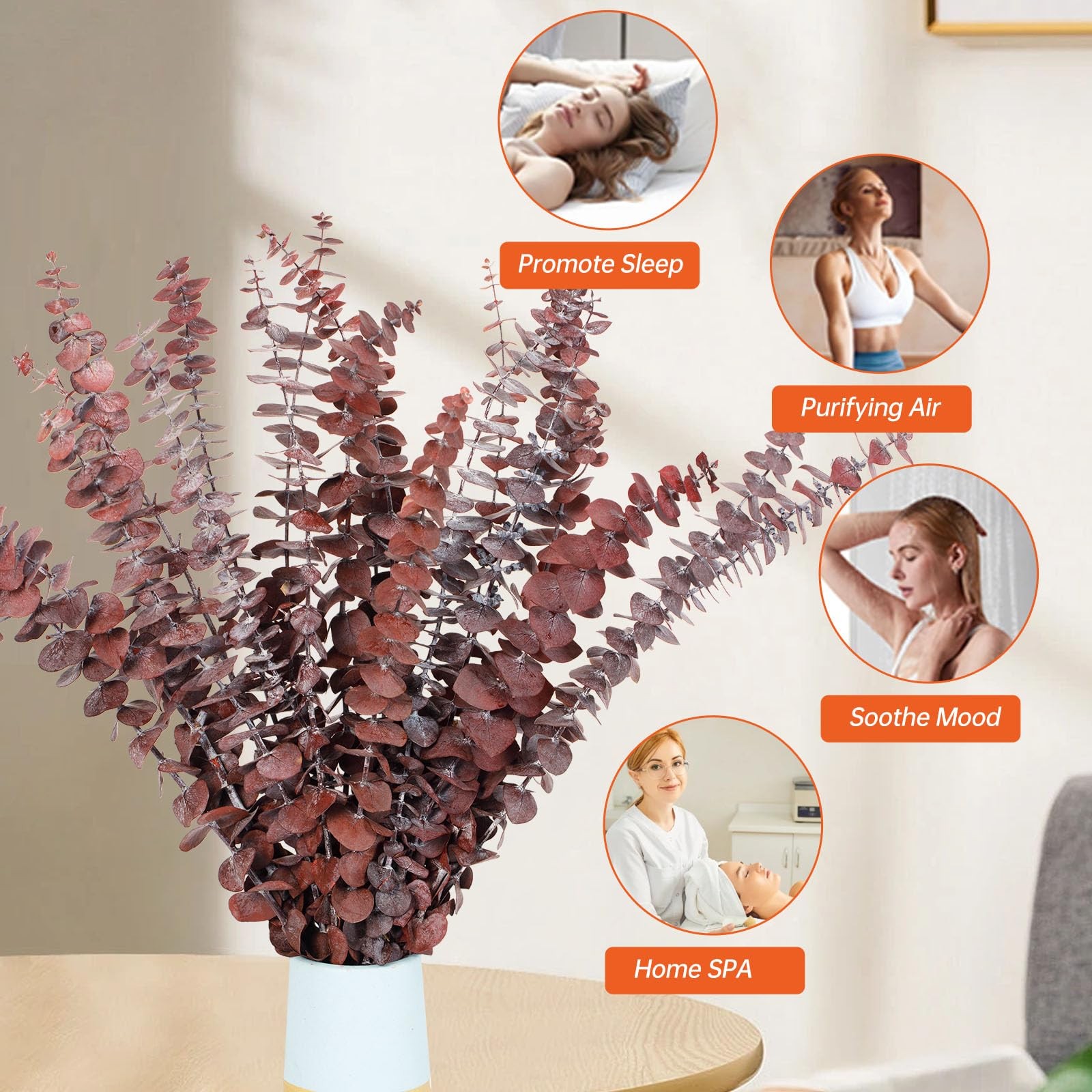 20 Pcs Dried Eucalyptus Stems, 17” Natural Real Live Red Eucalyptus Leaves B…