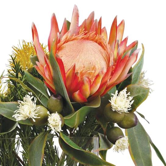 Orange Protea and Eucalyptus 24″ Wide Faux Flowers in Vase