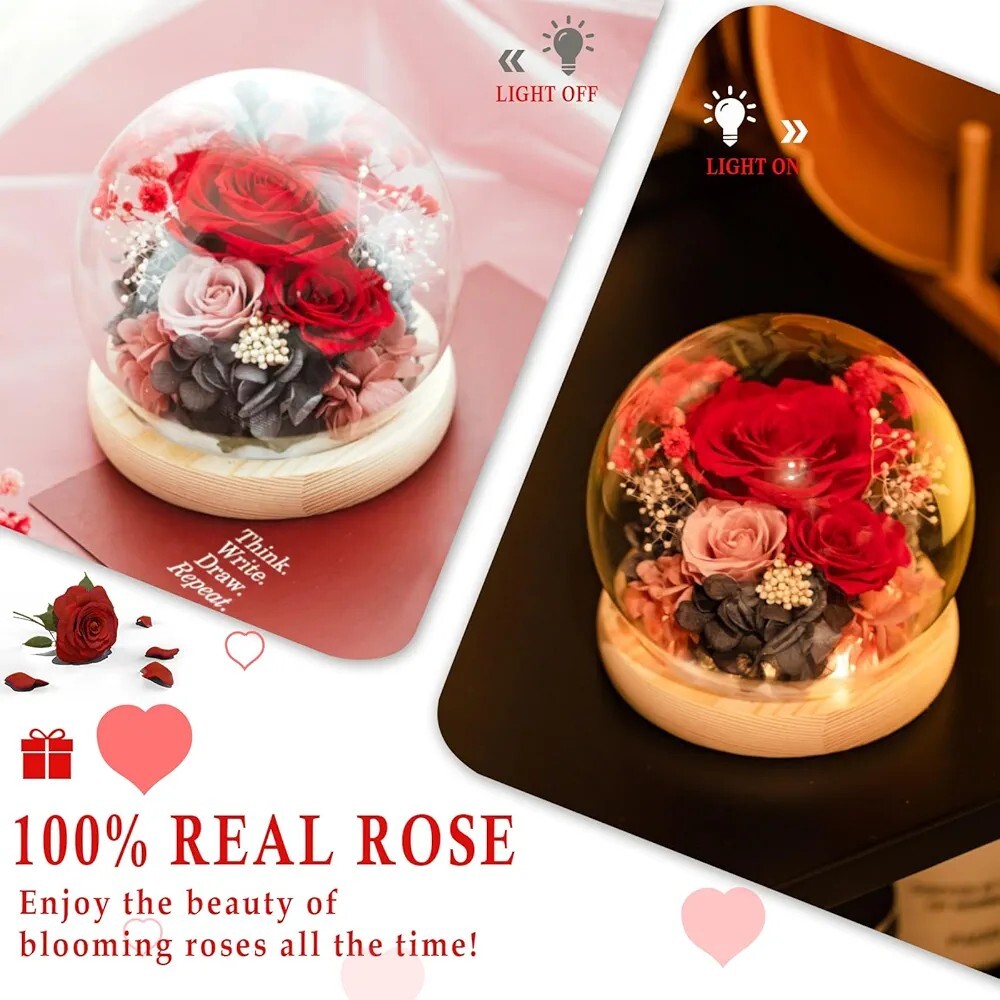 Valentine’s Day Gifts for Her Preserved Real Flowers Eternal Rose in Glass Dome