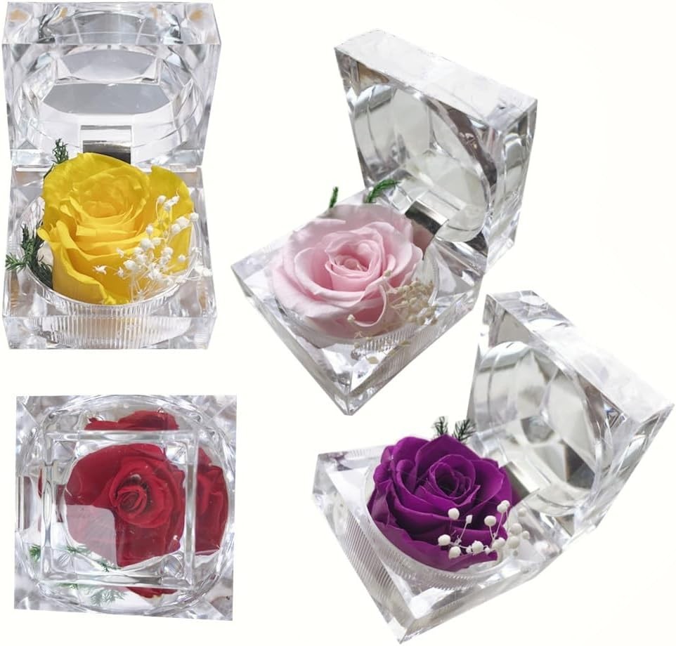Preserved Rose Real Fresh Rose in Mini Clear Ring Box, Eternal Flower Rose Gifts