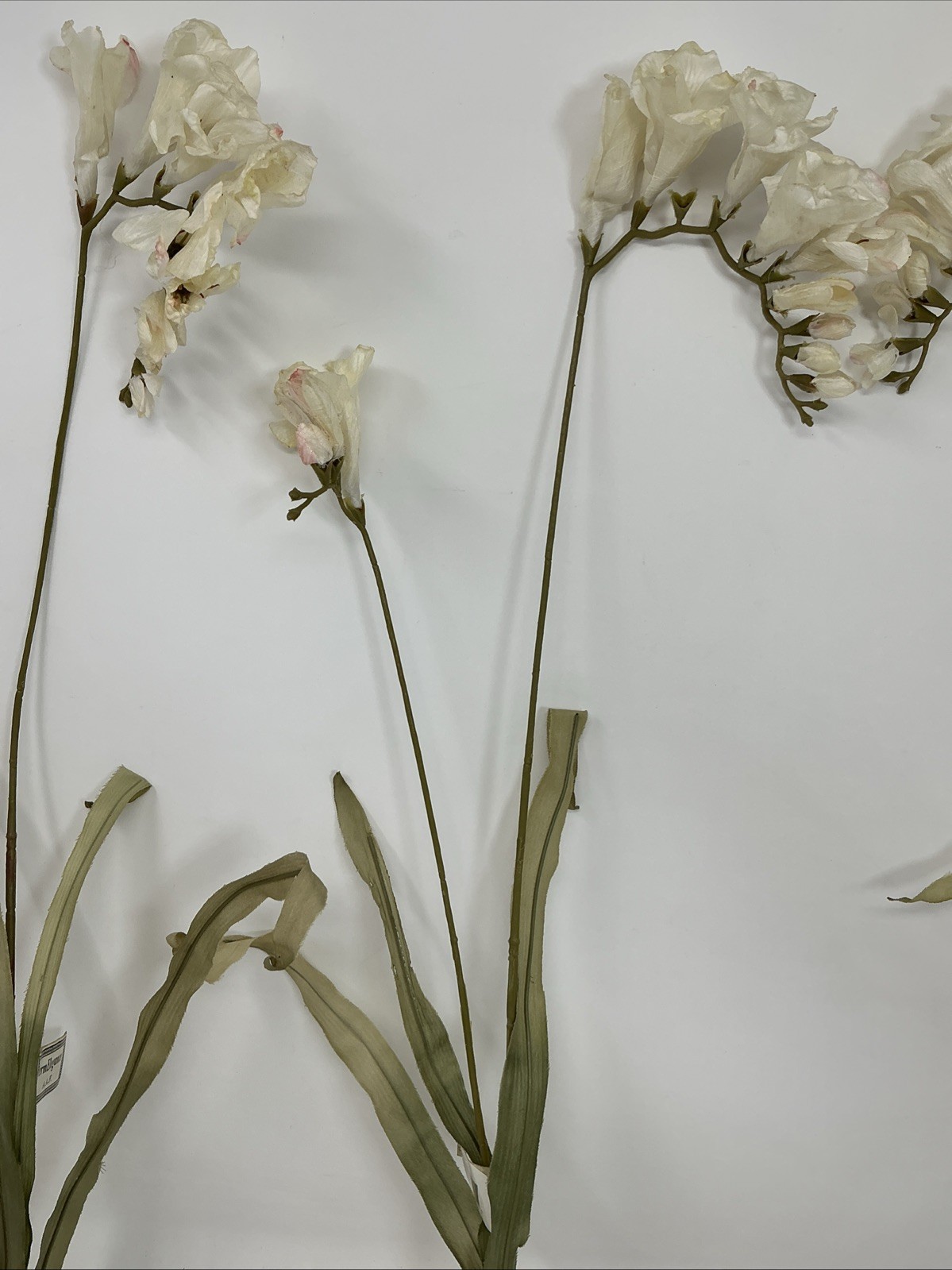 Freesia Spray Floral Pick 30” Long White w Pink Ends 3 Picks Vase Filler NOS