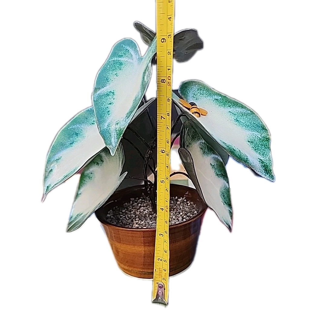 Vintage Enameled Metal Faux Variegated Alocasia Plant W Glazed Brown Pot *READ*
