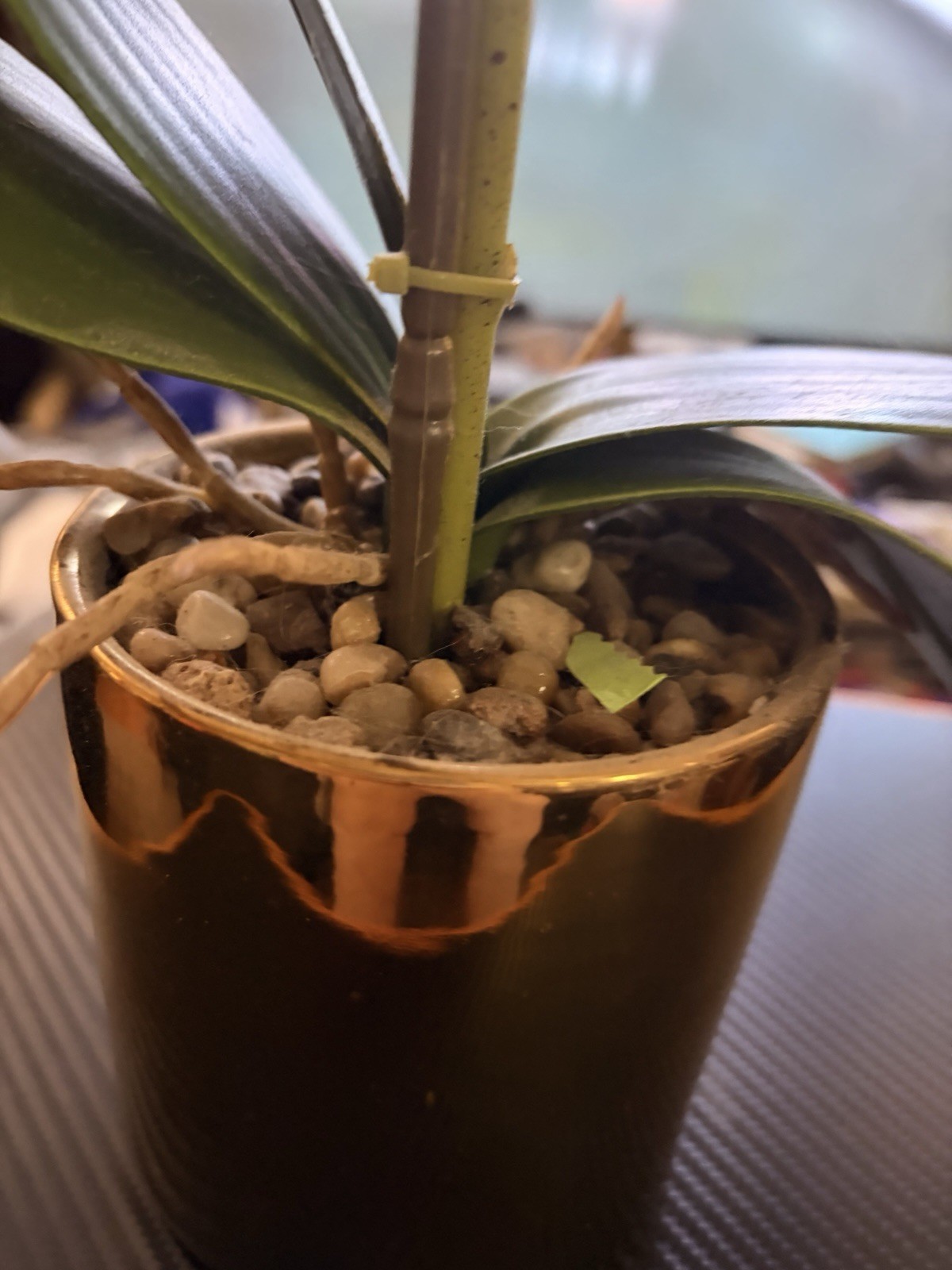 Artificial Orchid Flower Potted, 24″ White Orchid in Gold Pot Faux Plant