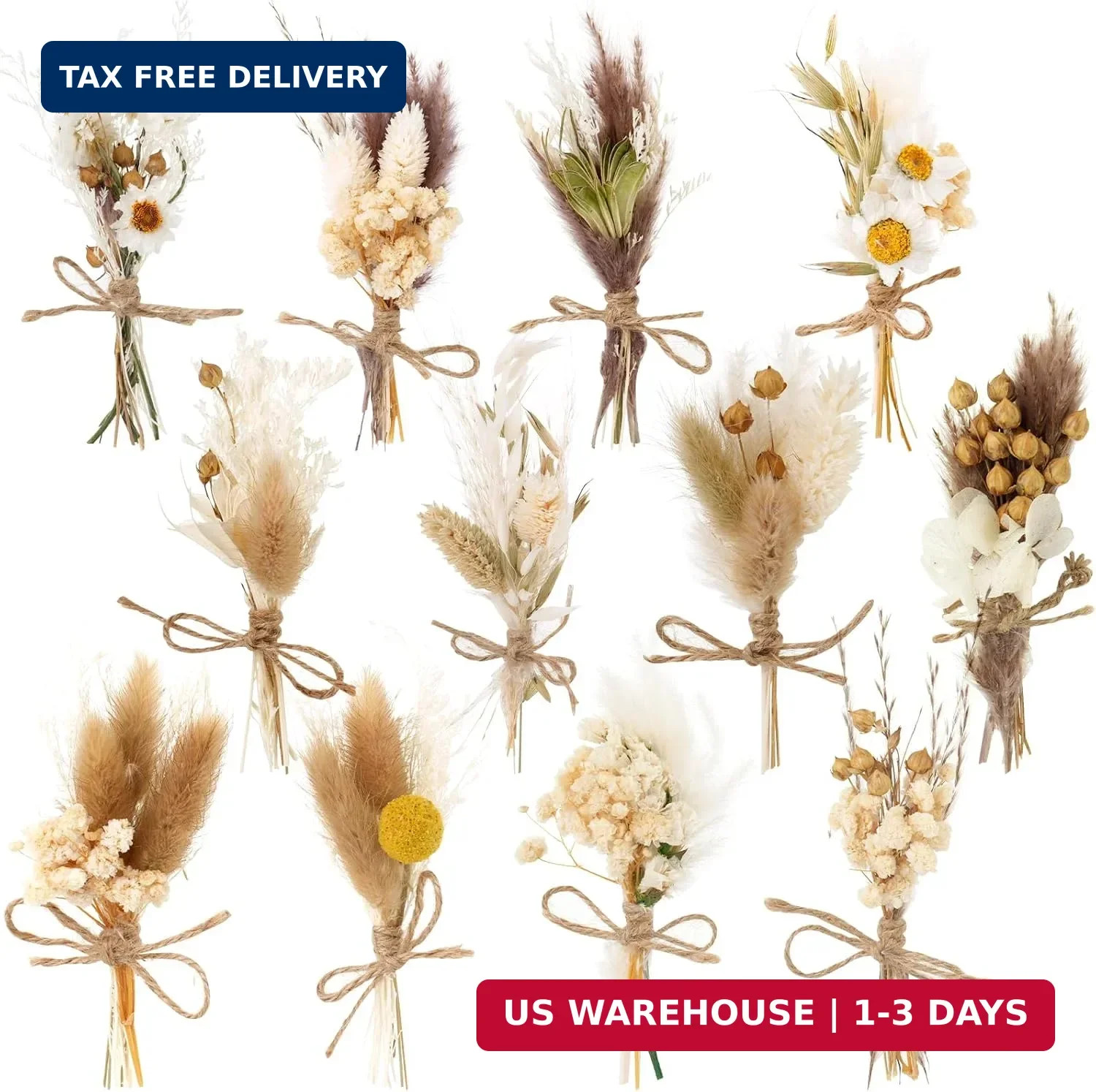 12 Pack Dried Flower Bouquet Mini Natural Pampas Grass for Crafts Small Dried Em