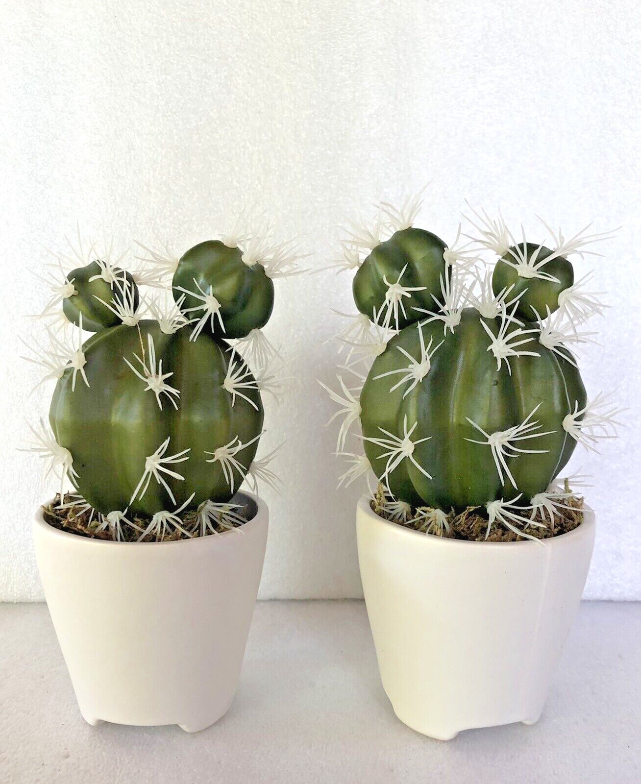 Set of 2 Faux Cactus Artificial Plants in Ceramic Pots 7″ Tall