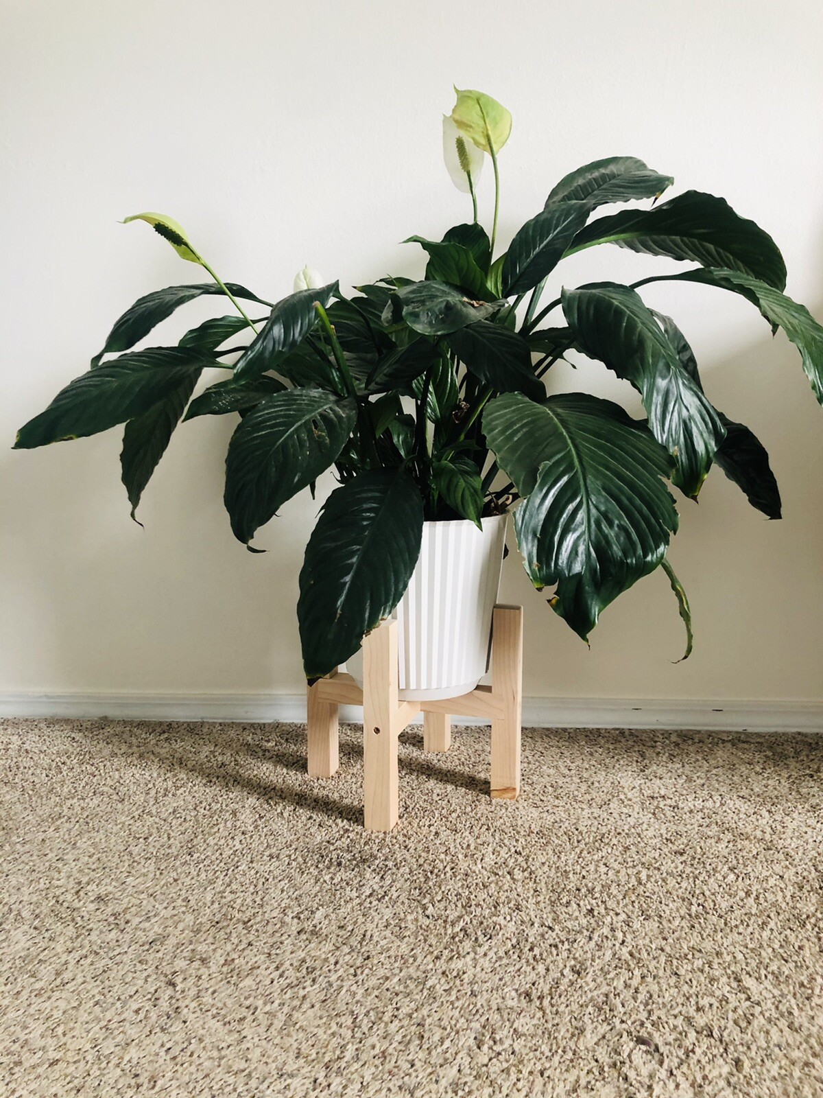 9.25 Inch Wooden Plant Pot Stand
