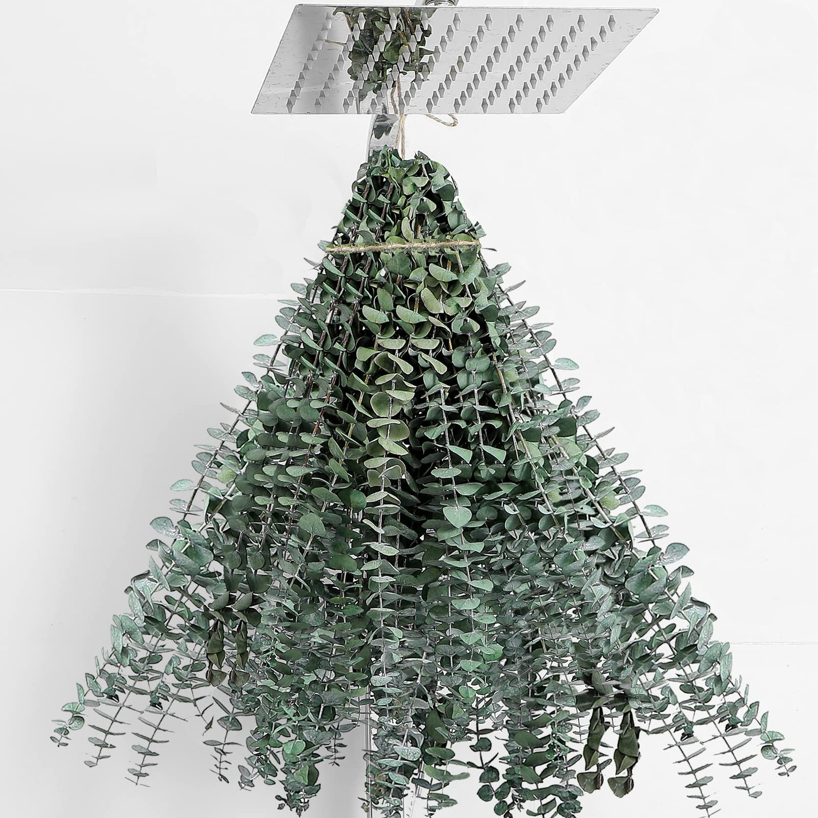 30 Pcs Dried Eucalyptus Stems 17ft Real Hanging Decor Wedding Home Farmhouse DIY