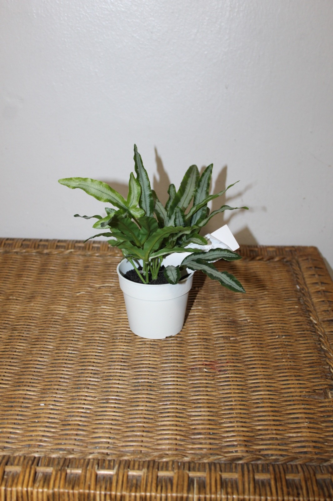 Williams Sonoma Artificial Potted Foliage Plant
