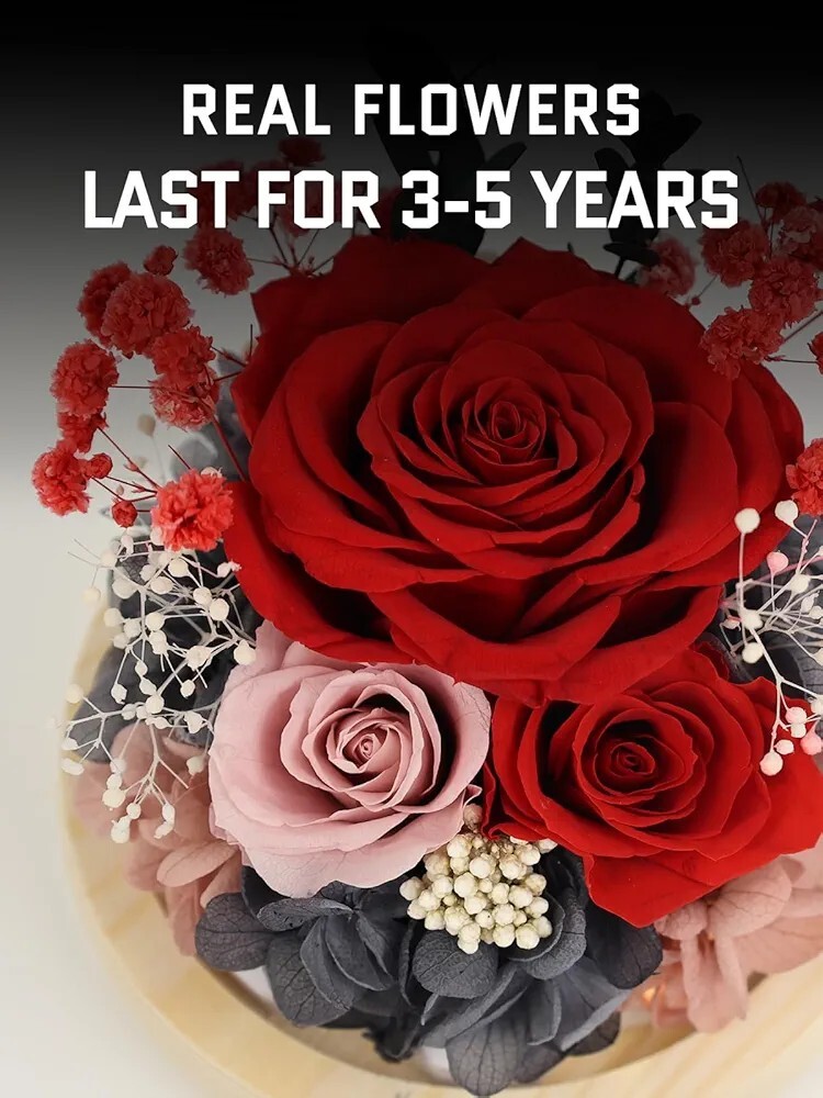 Valentine’s Day Gifts for Her Preserved Real Flowers Eternal Rose in Glass Dome