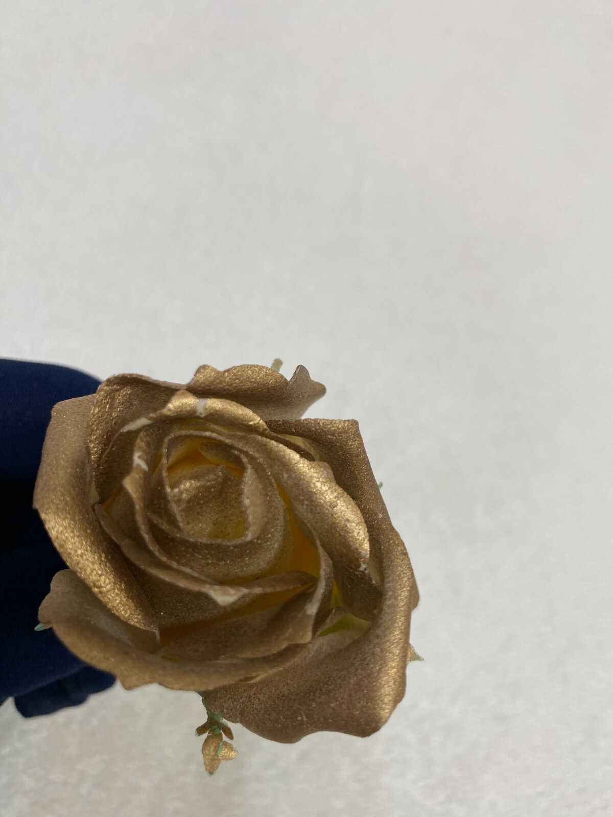 wax roses décor gifts pink baby-rose violet white yellow golden silver red