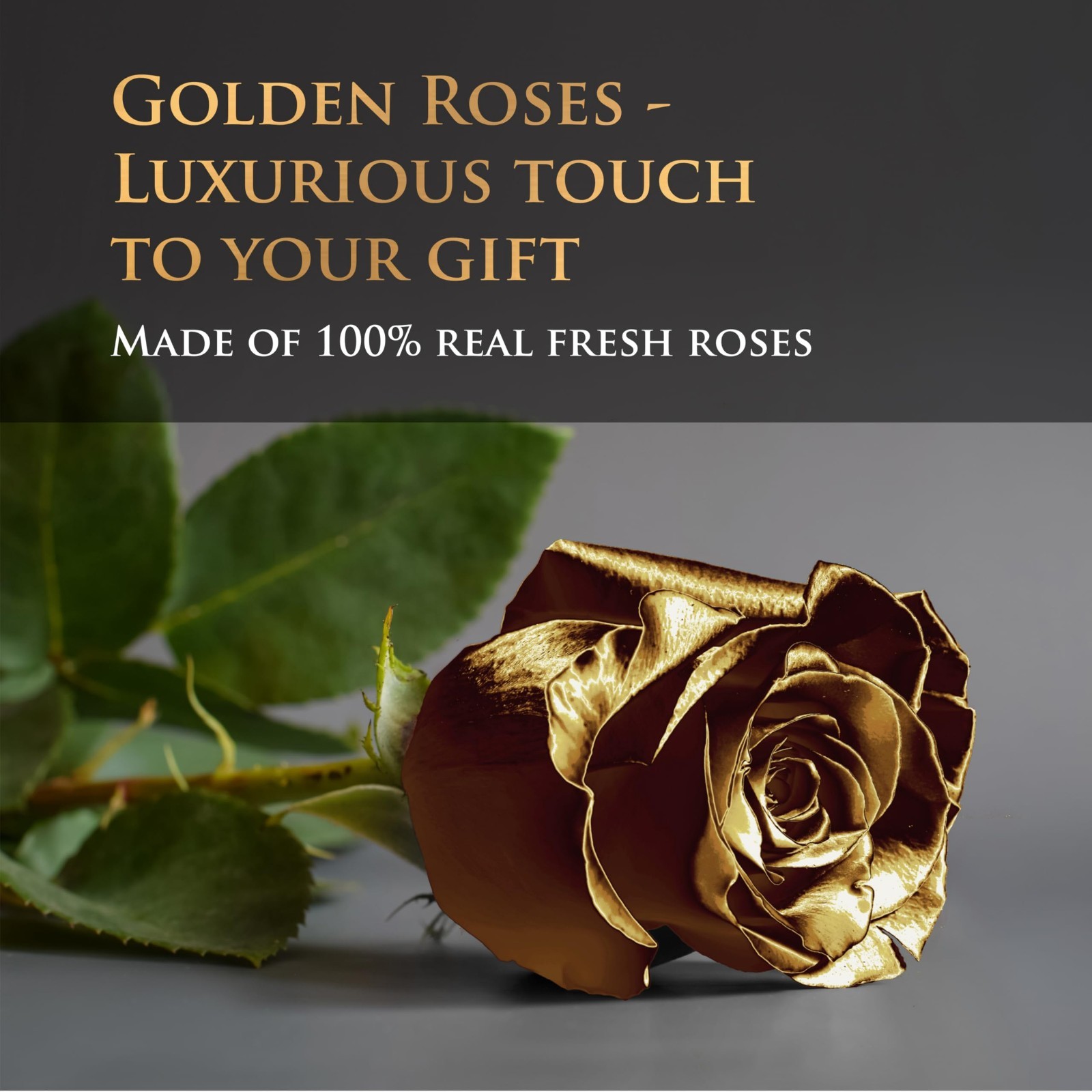17 Black & Gold Forever Roses in Velvet Box – Luxury Preserved Graduation Gifts,