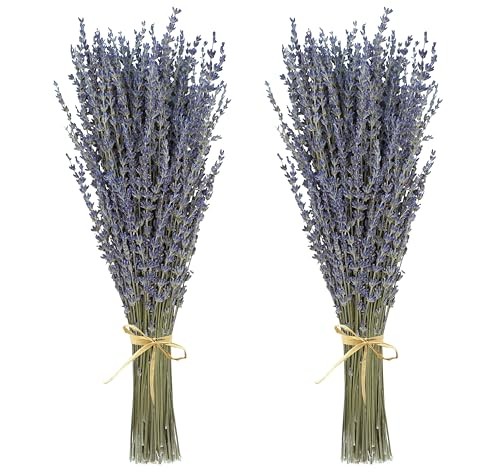 Dried Lavender Flowers 2 Bunches Natural Purple Bouquet 15-17 Inch 200-220 Stems