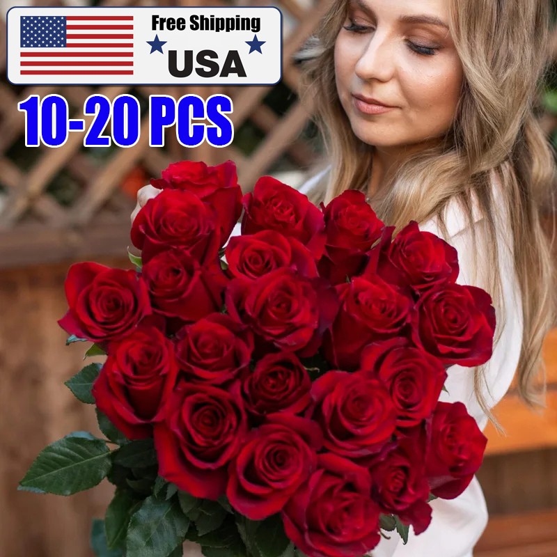 20x Artificial Red Flowers Bulk Realistic Silk Faux Rose for Wedding Decoration