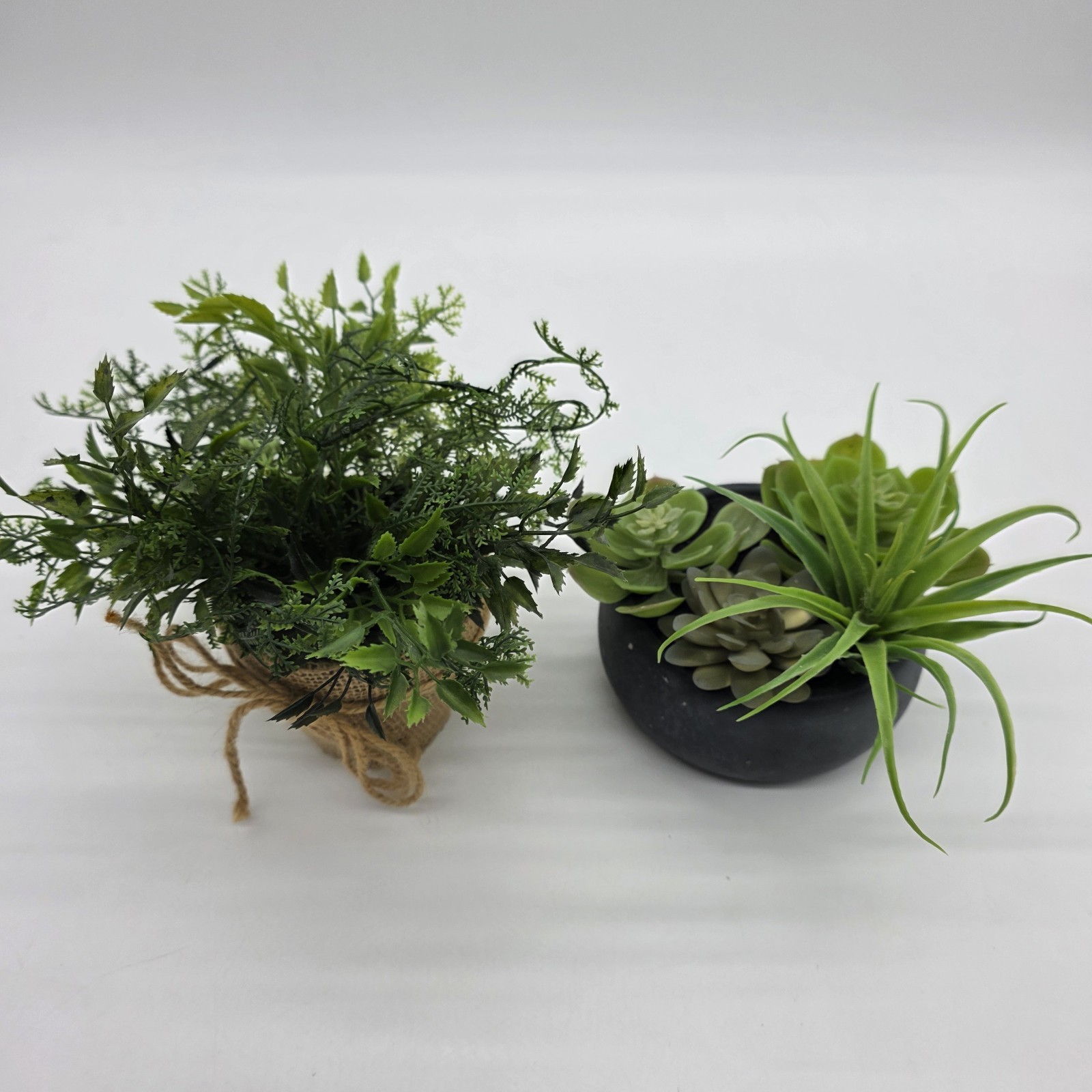 Set of 2 Artificial Potted Plants Faux Greenery Succulent & Fern Home Decor