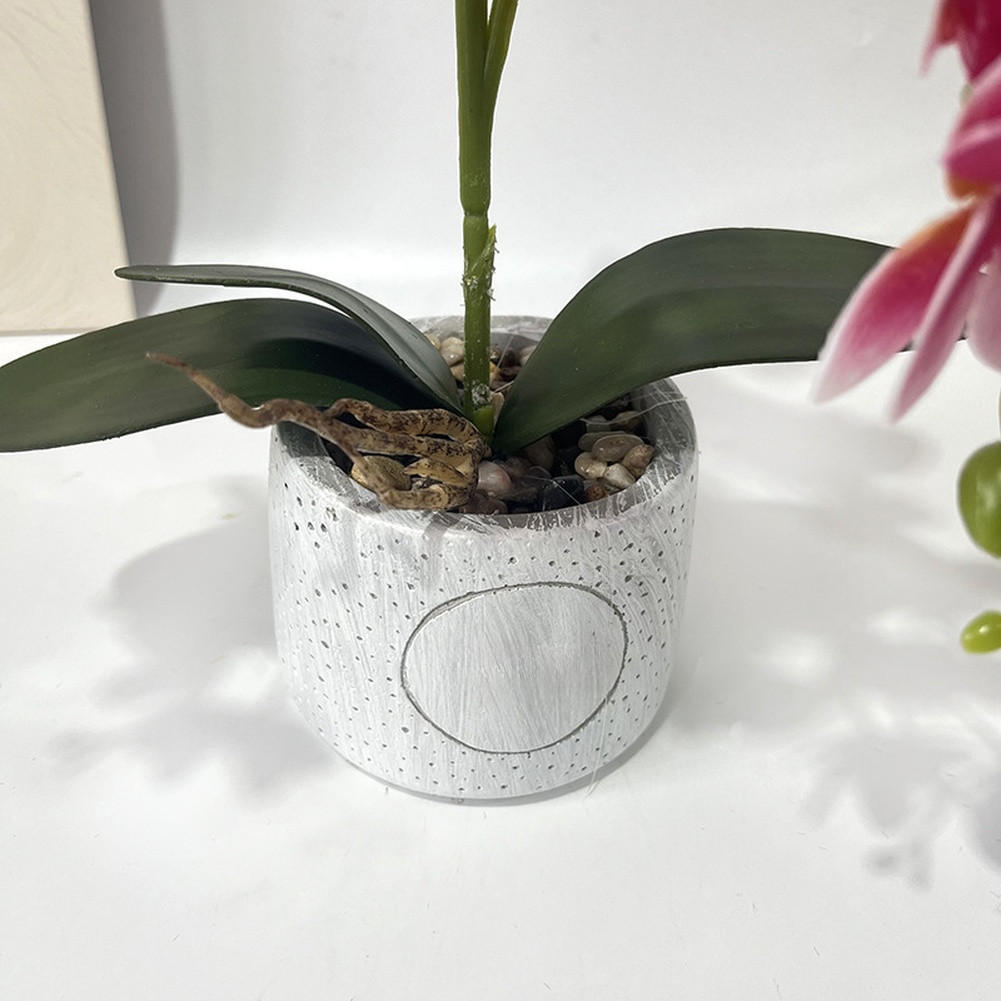 Synthetic Butterfly Orchid in Matte Cement Pot for Modern Farmhouse Decor Style