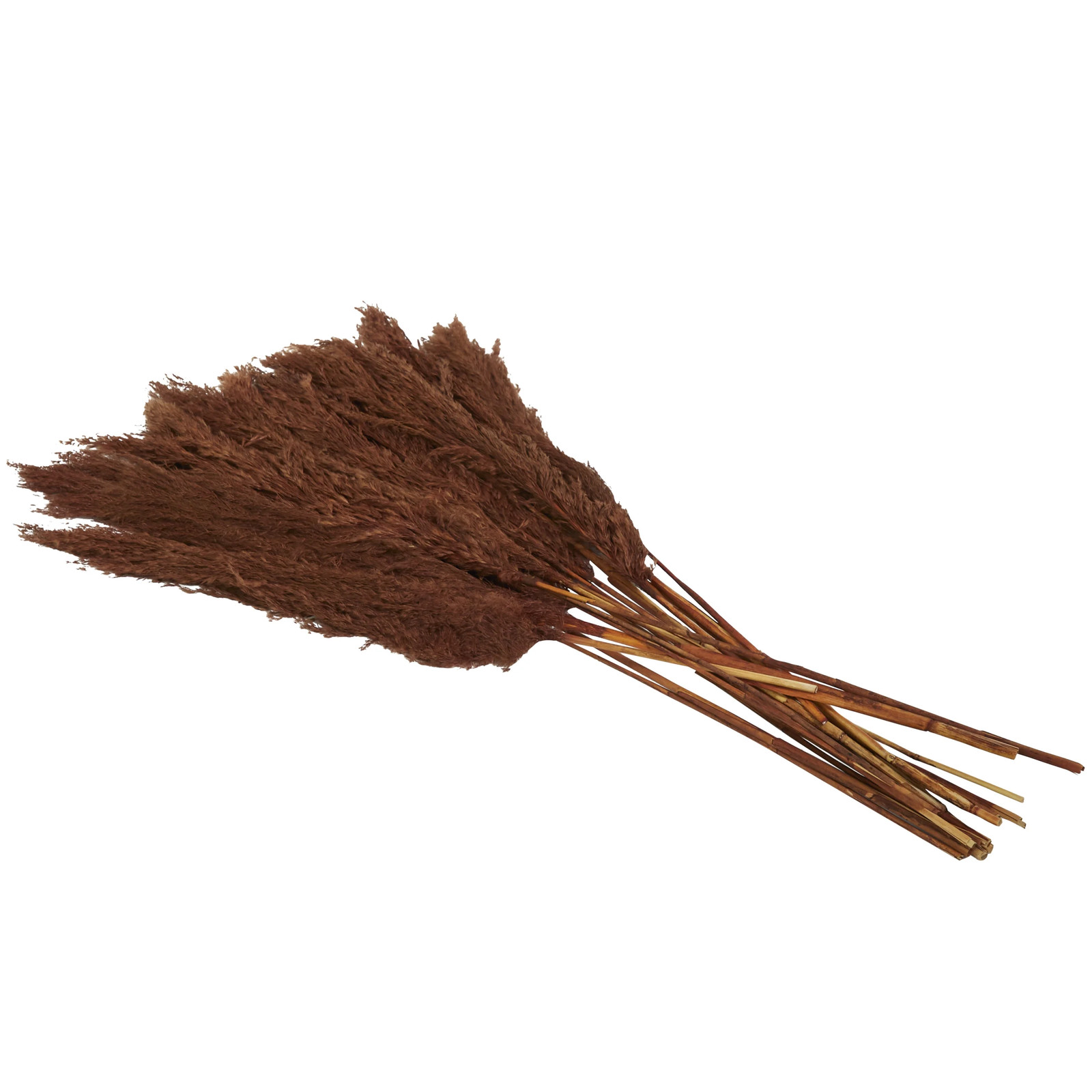 35″ Dried Plant Natural Foliage Pampas Bouquet with Long Stems,