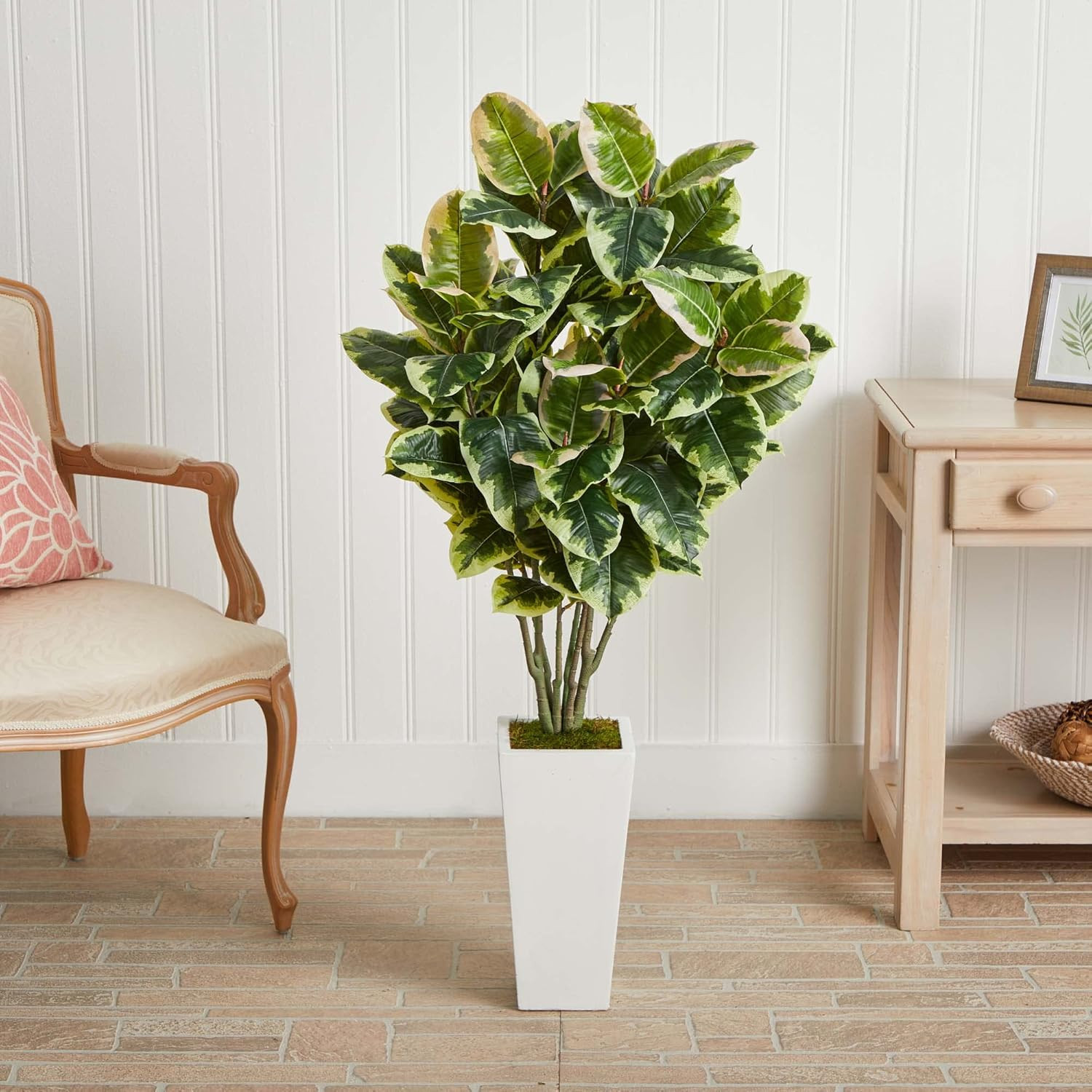 20″ Variegated Rubber Leaf Plant in Elegant White Tower Vase