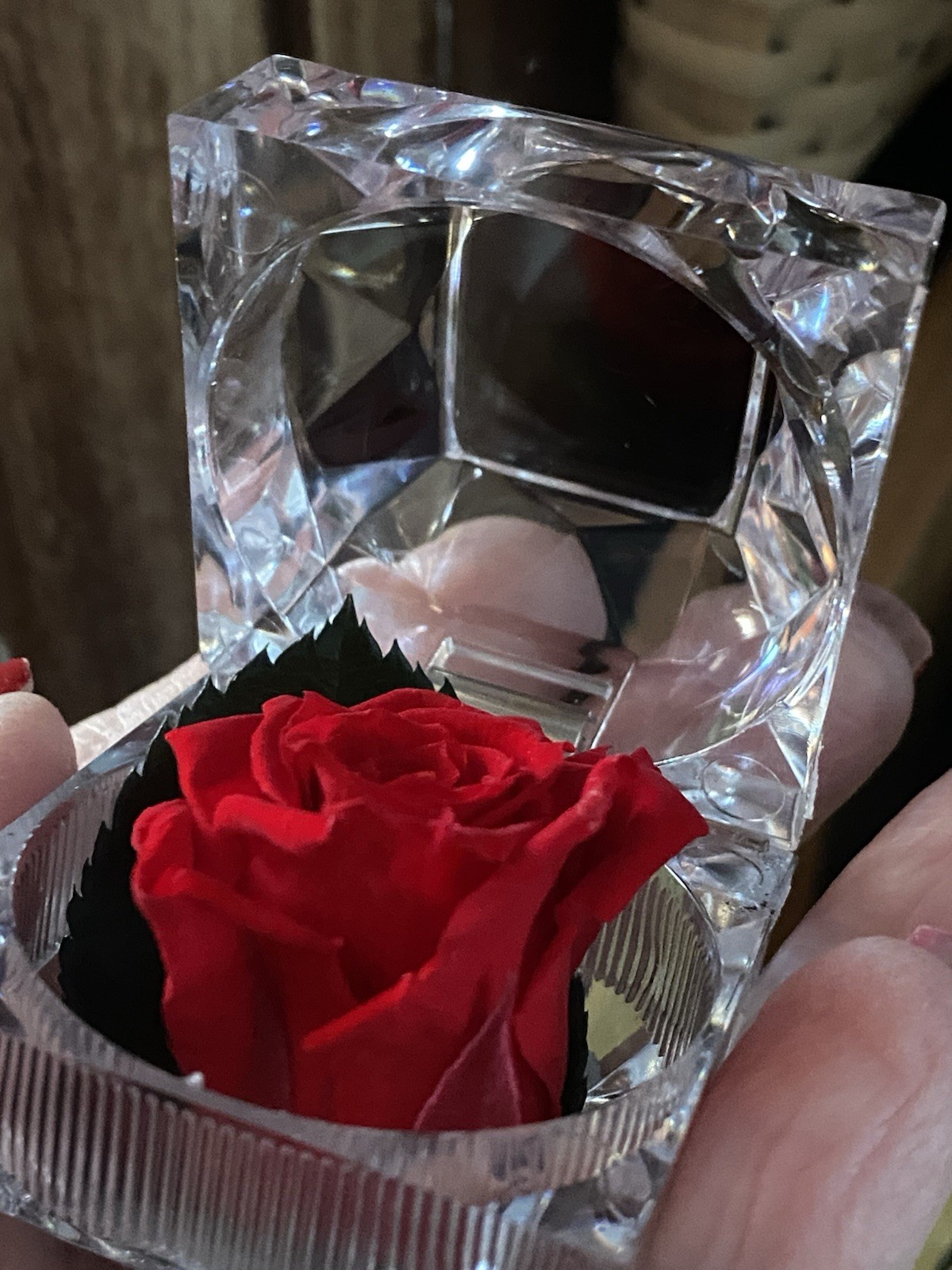 Preserved Rose Real Forever Rose in Mini Clear Ring Box, Eternal RED Rose NEW