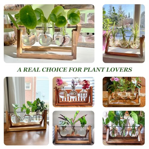 Plant Propagation Station, Plant Terrarium with Wooden Stand, Unique Gardening