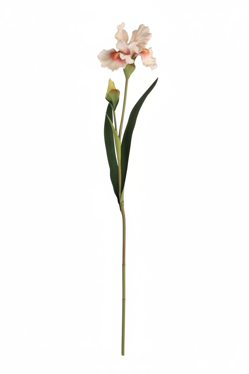 Artificial Iris Flower 33 Inch Tall White Faux Iris Stem Hand Painted Look Flora