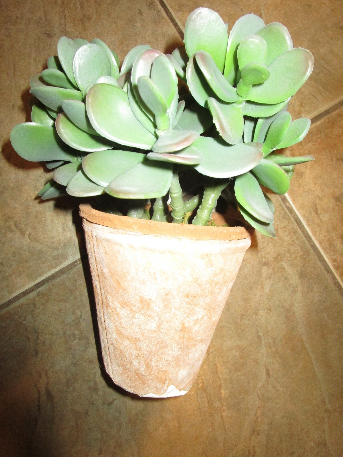 Pottery Barn Faux Potted crassula Jade faux Succulent photo shoot sample