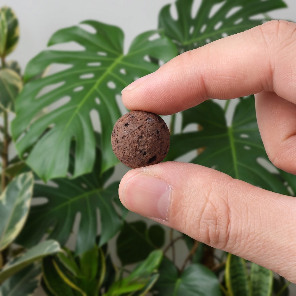 1 Bag Clay Pebbles for Plants – 2.2 Lbs Potted Plant Clay Balls, Porous Ceramic