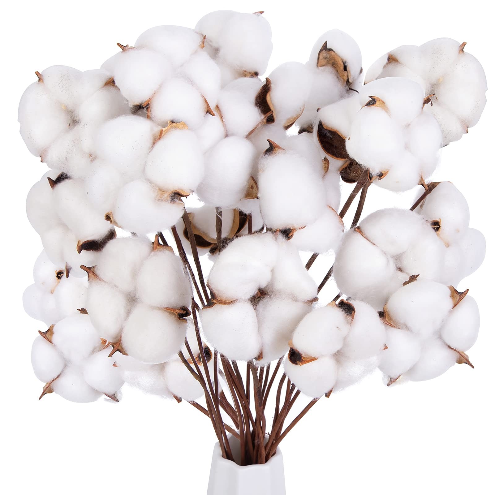 30PCS Natural Dried Cotton Stems, 15″ Tall Cotton Sprigs for Vase Fillers DIY…