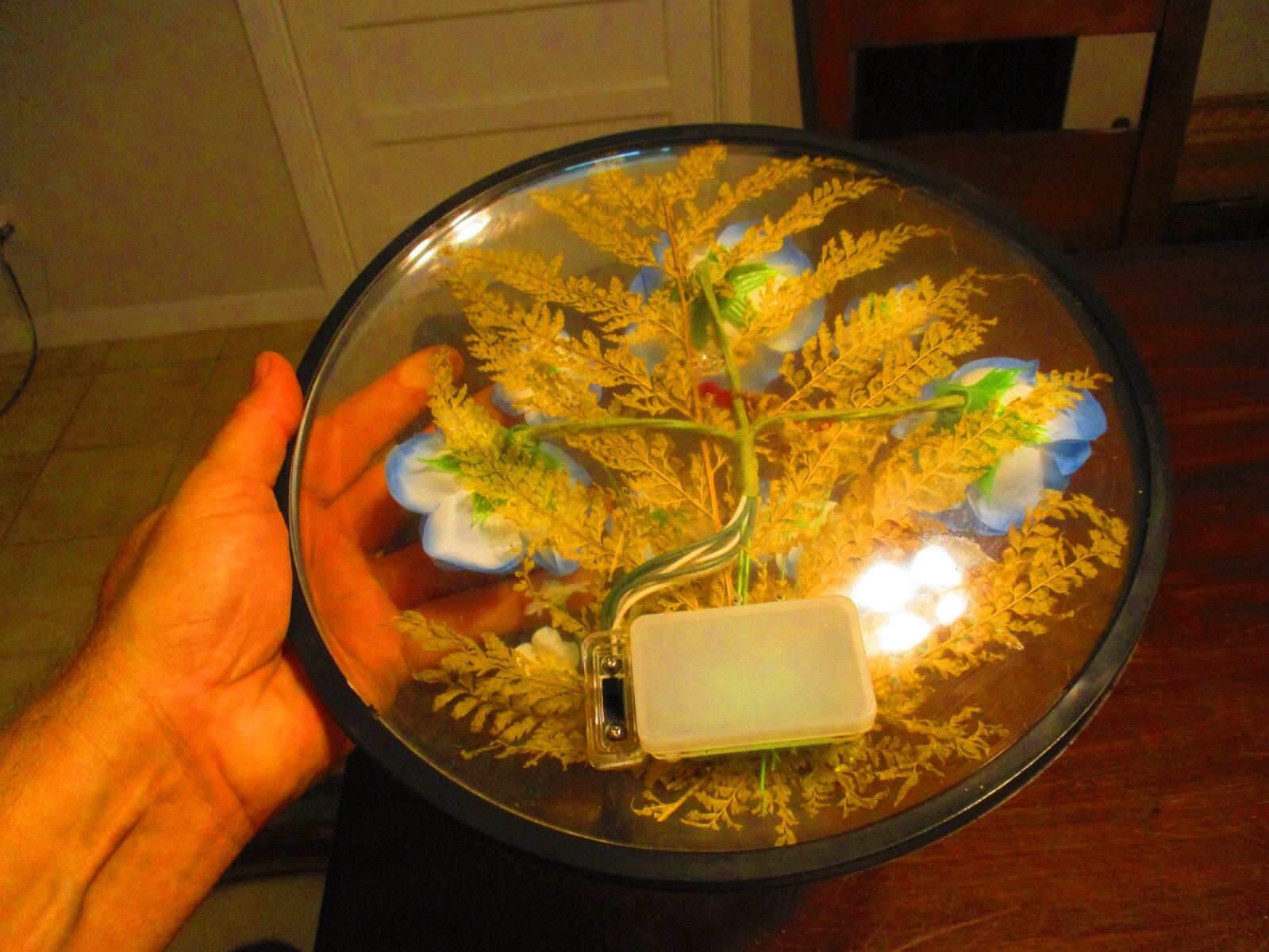 Lighted Butterfly bird flowers round encased 11.5” plastic display artwork