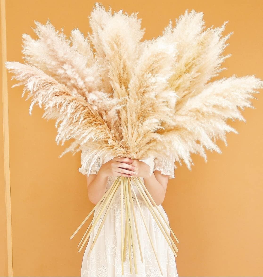 Versatile 20 Stems of 40-Inch Pampas Grass – Perfect for Events and Parties